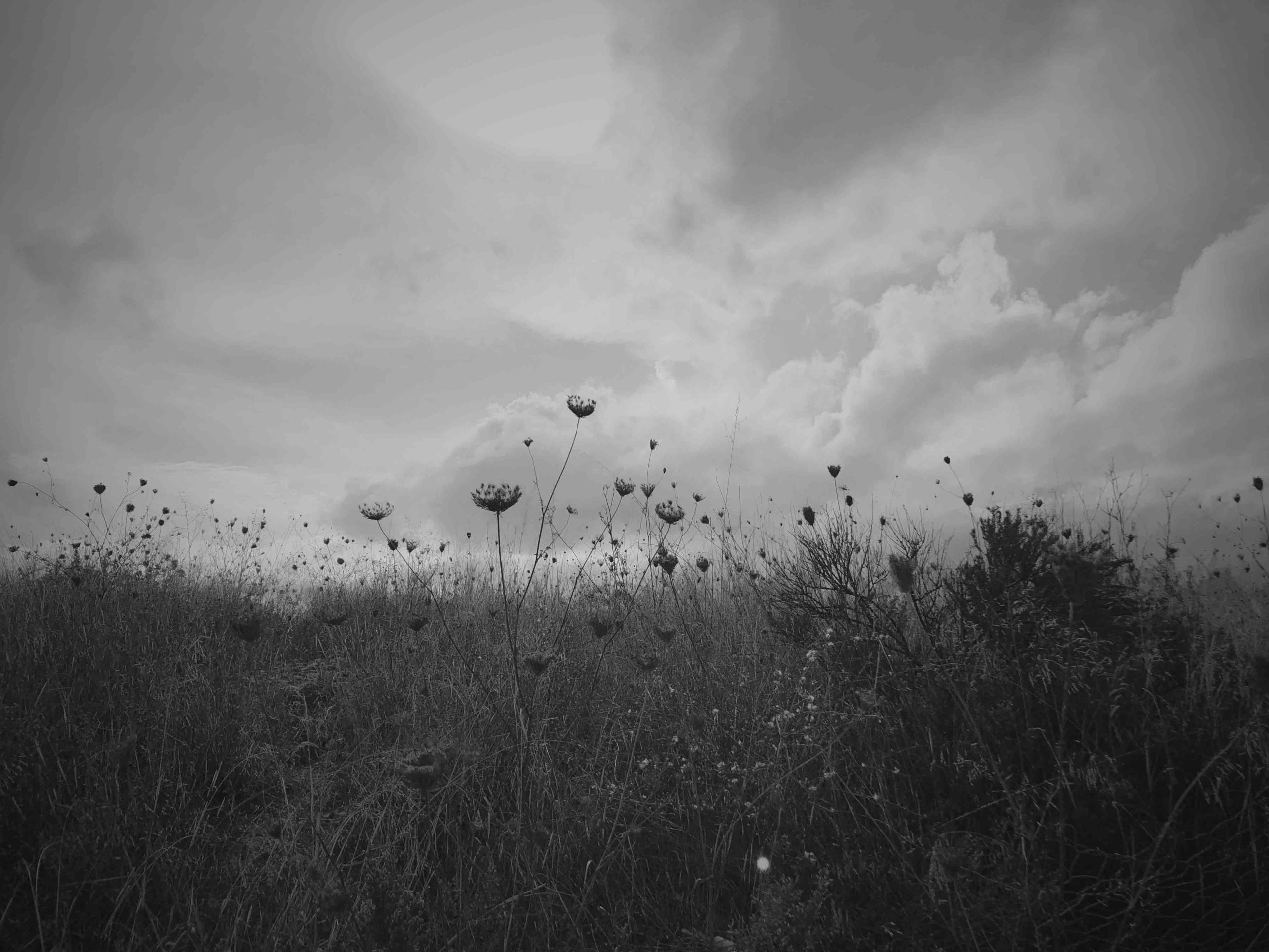 Landscape Image