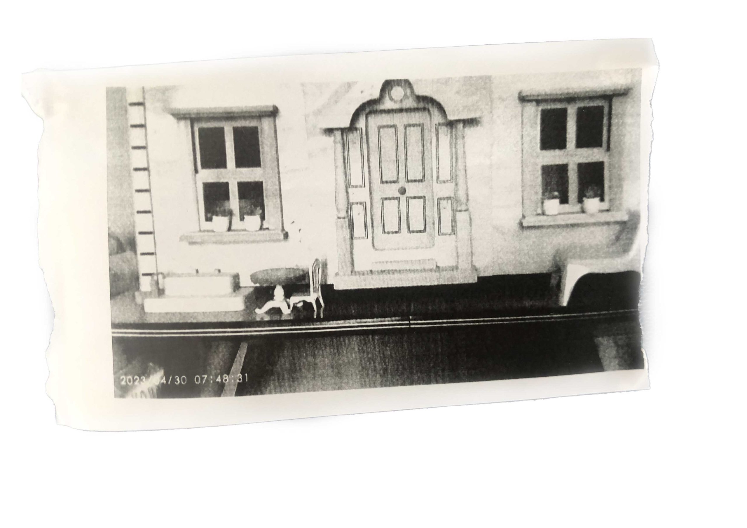 Polaroid Image
