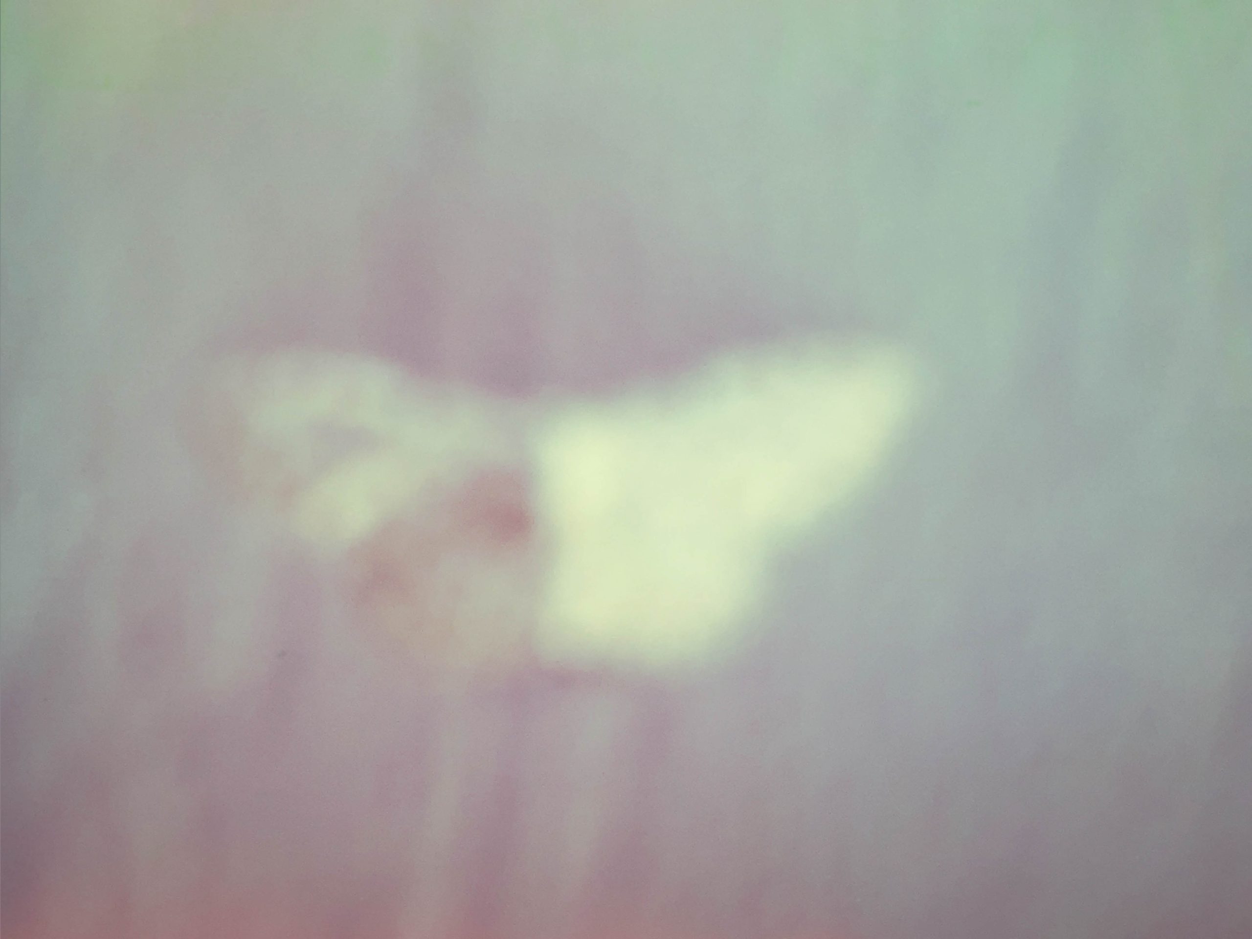 MyStories Image