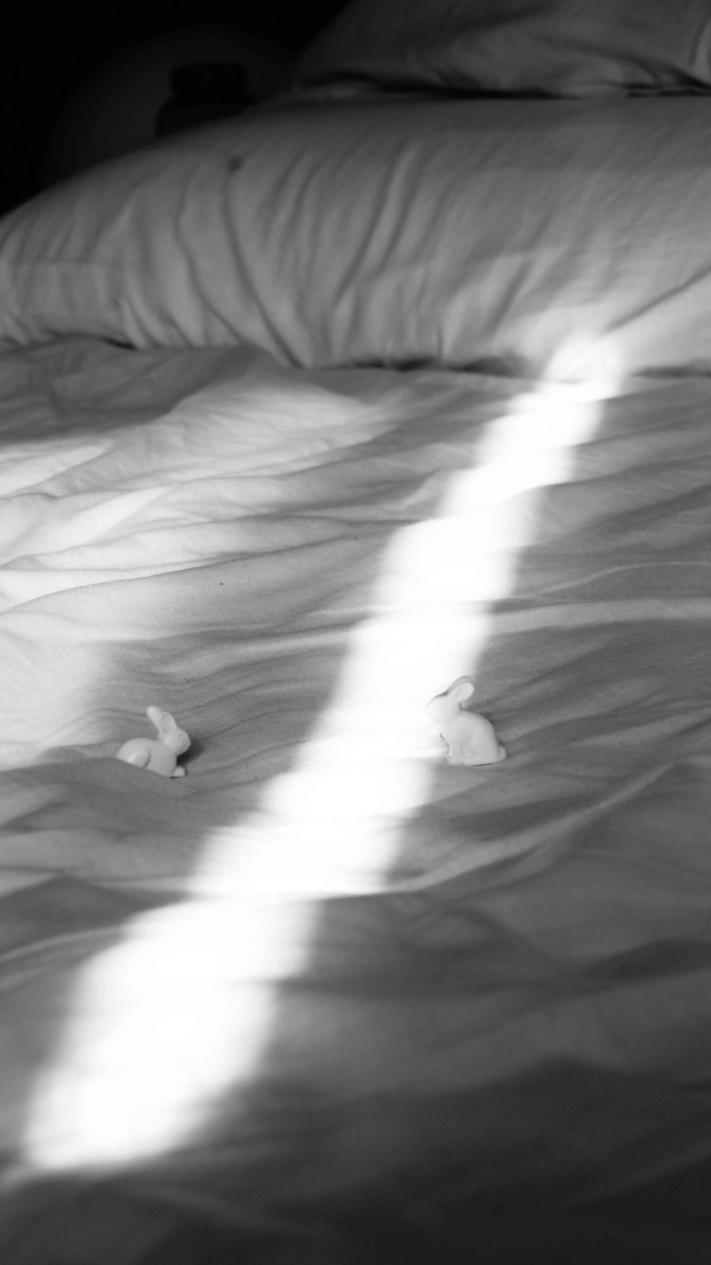 StillLife Image