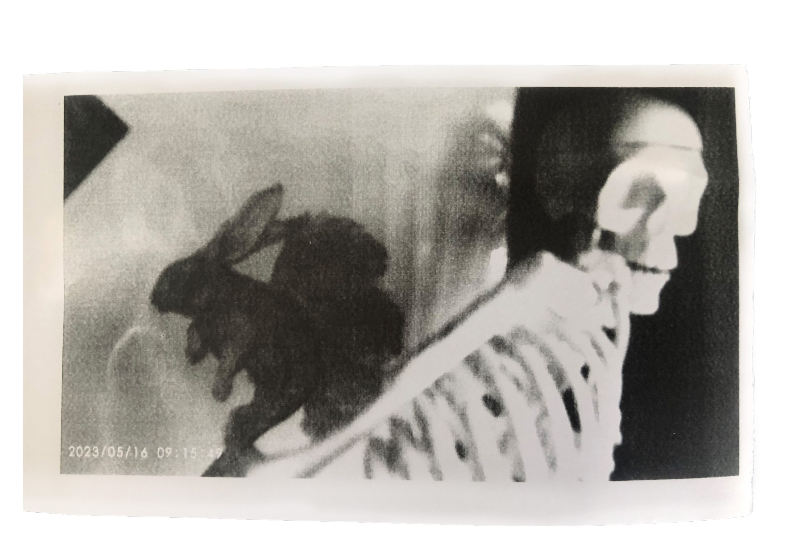 Polaroid Image