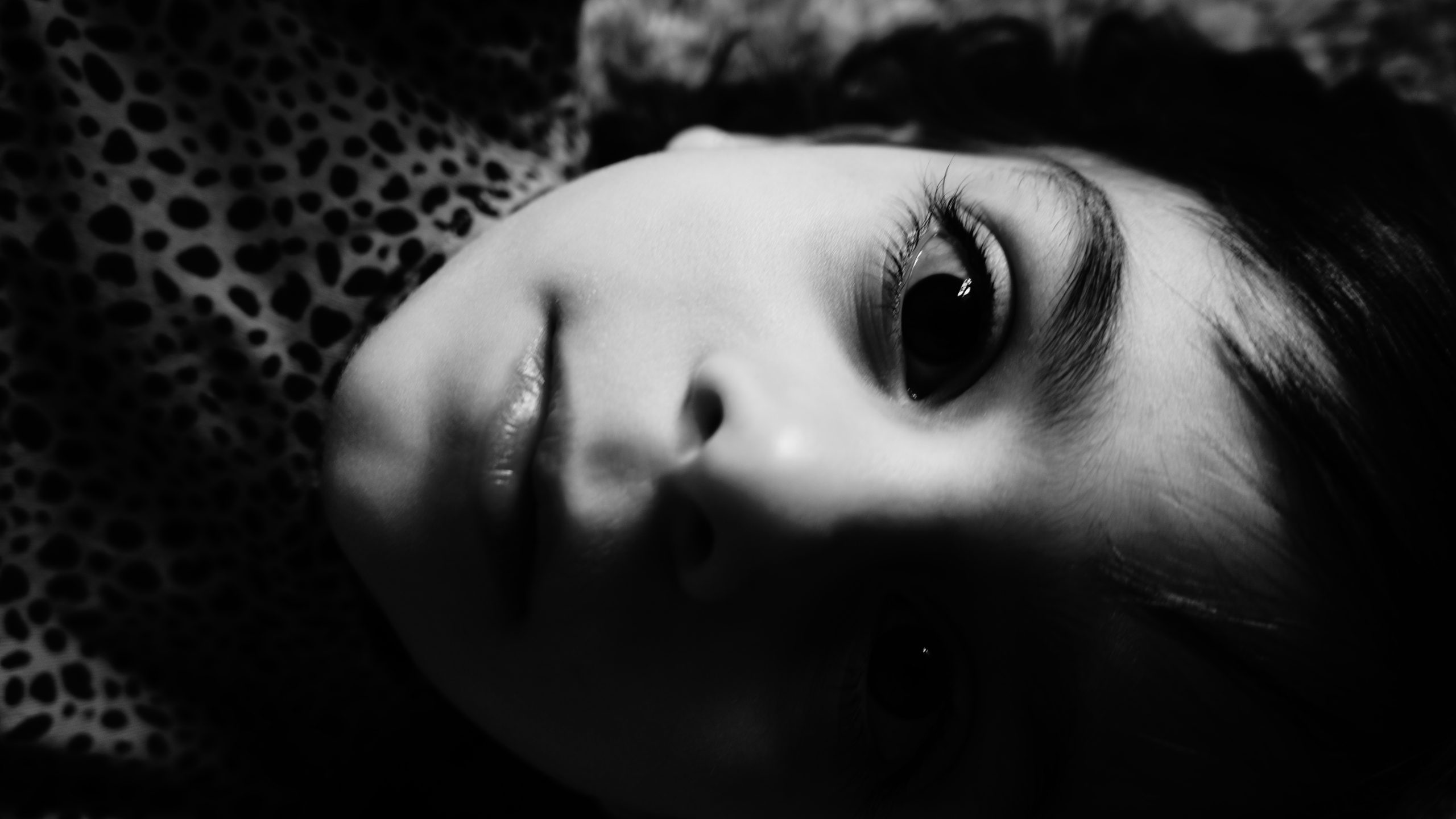 Portraits Image