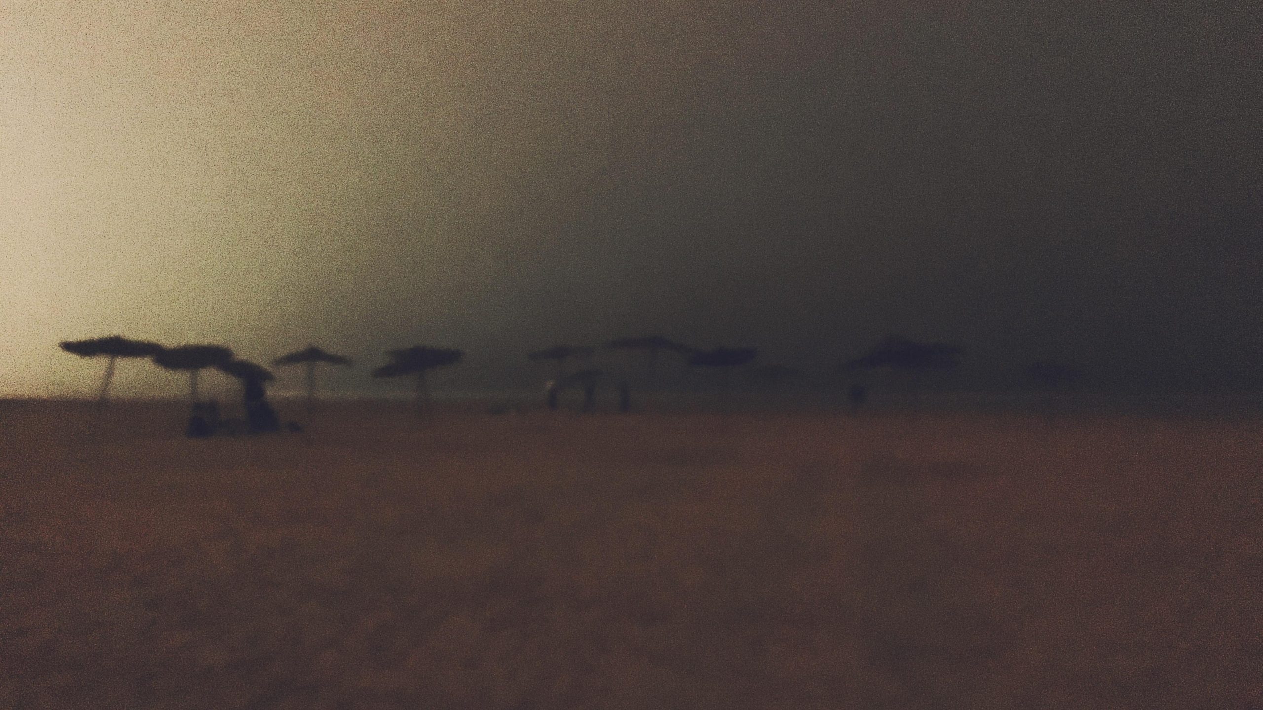 Trips Image