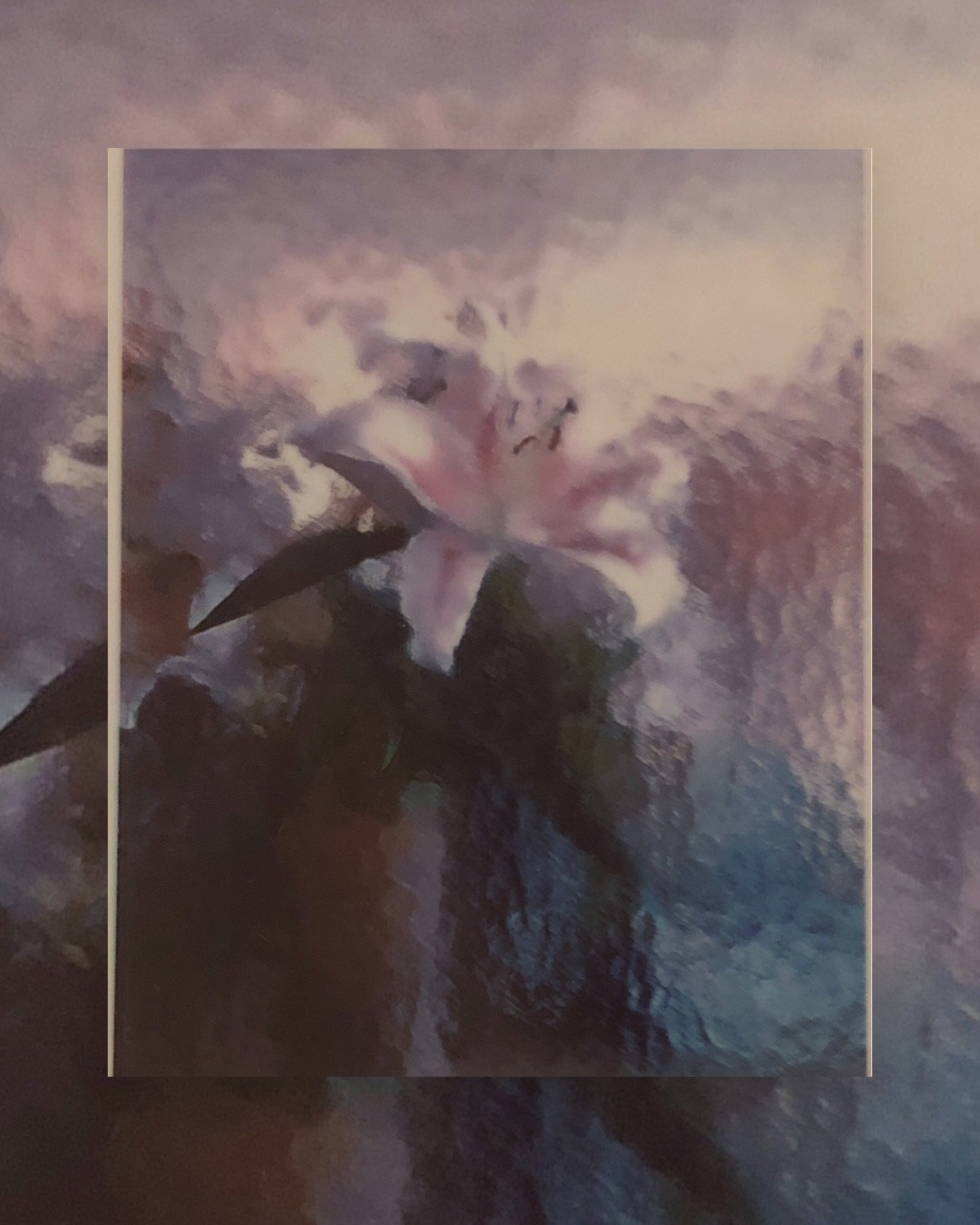 Polaroid Image
