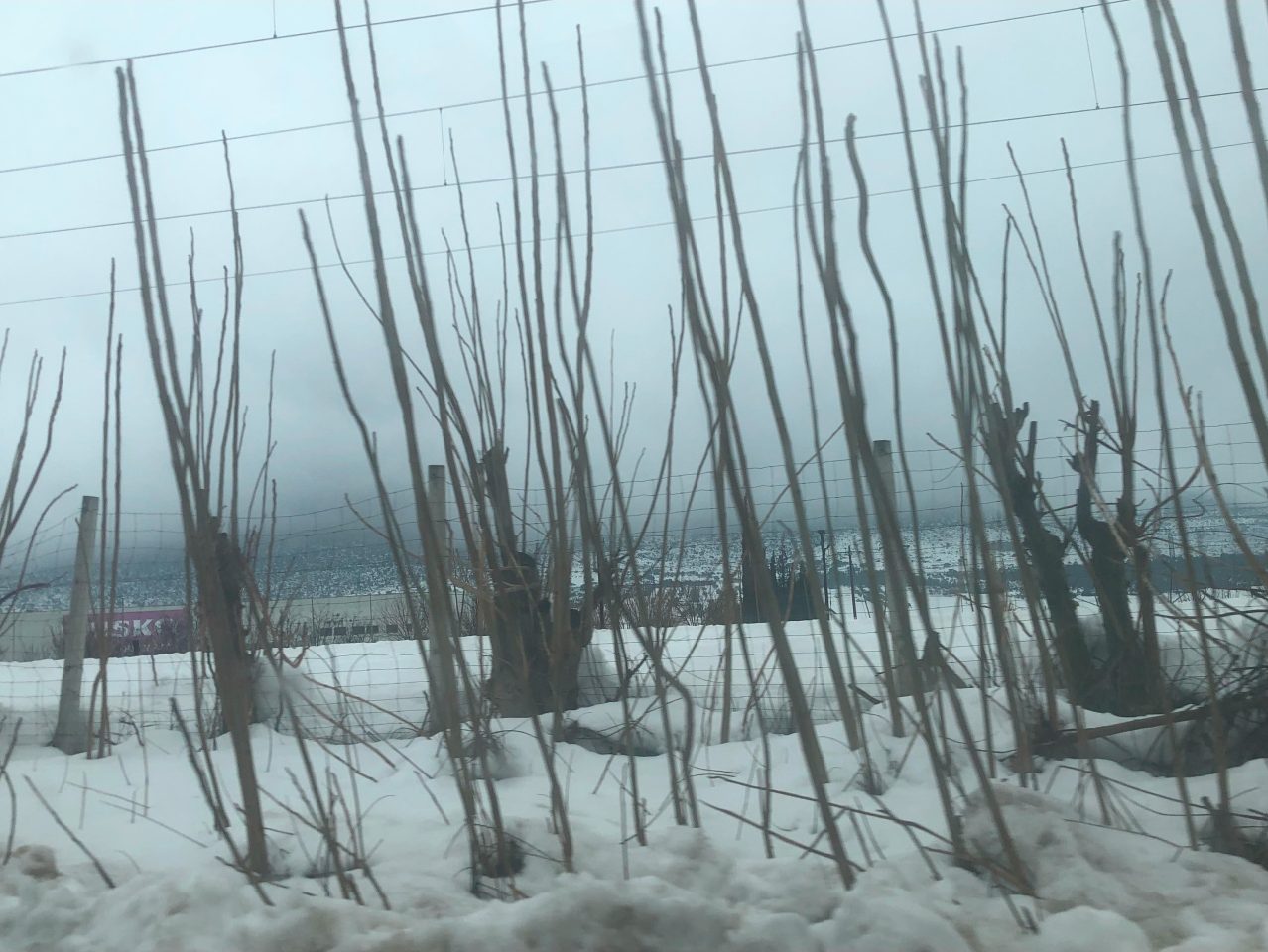 Landscape Image