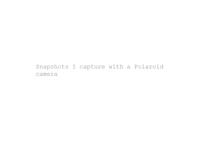 Polaroid Image
