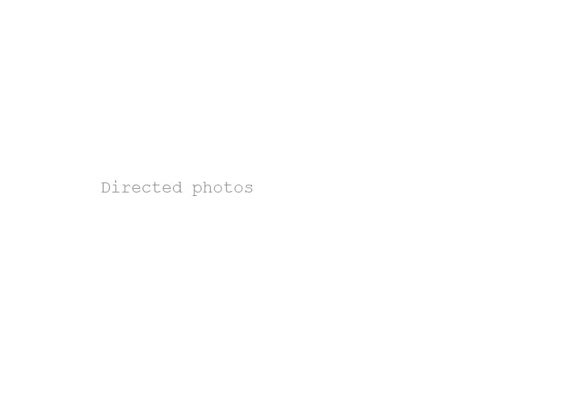 StillLife Image