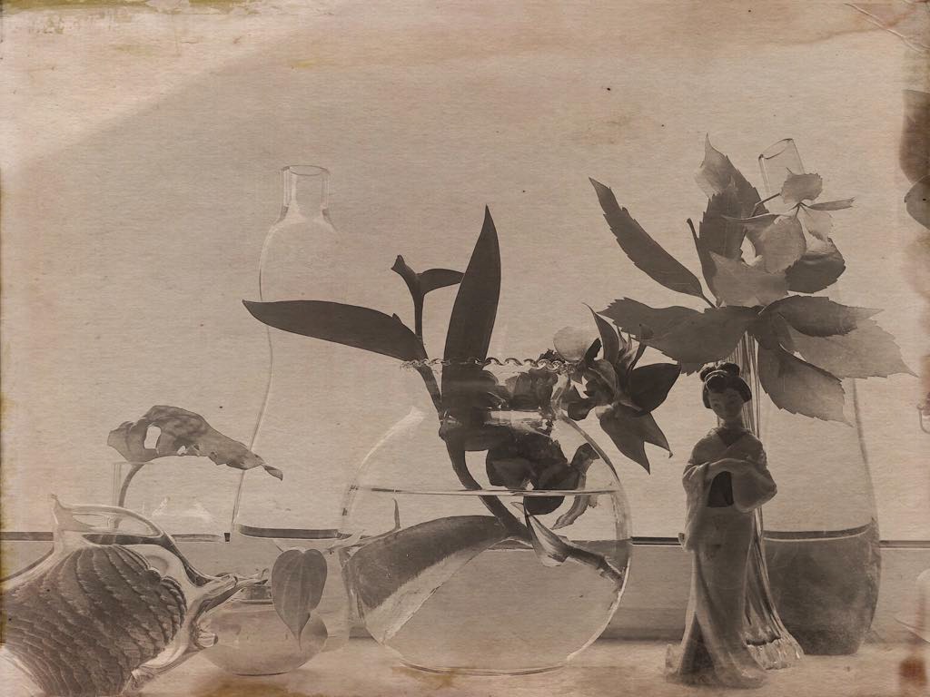 StillLife Image