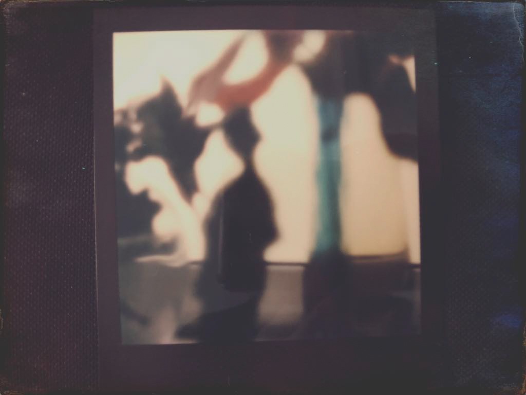 Polaroid Image