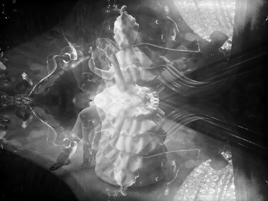 StillLife Image