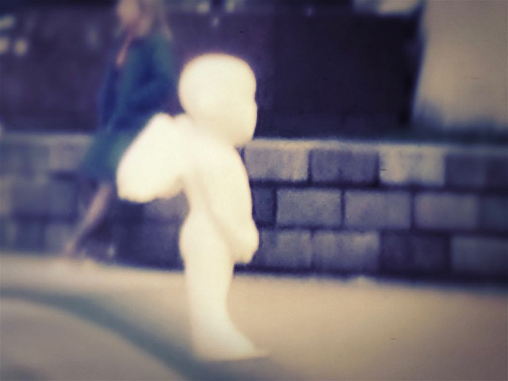 Trips Image